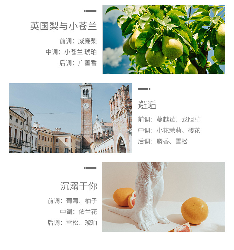 详情_15.jpg