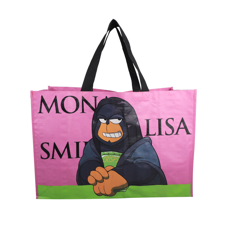 外贸批发厂家直销覆膜pp手提编织袋加厚尼龙蛇皮袋礼品袋可印logo详情9