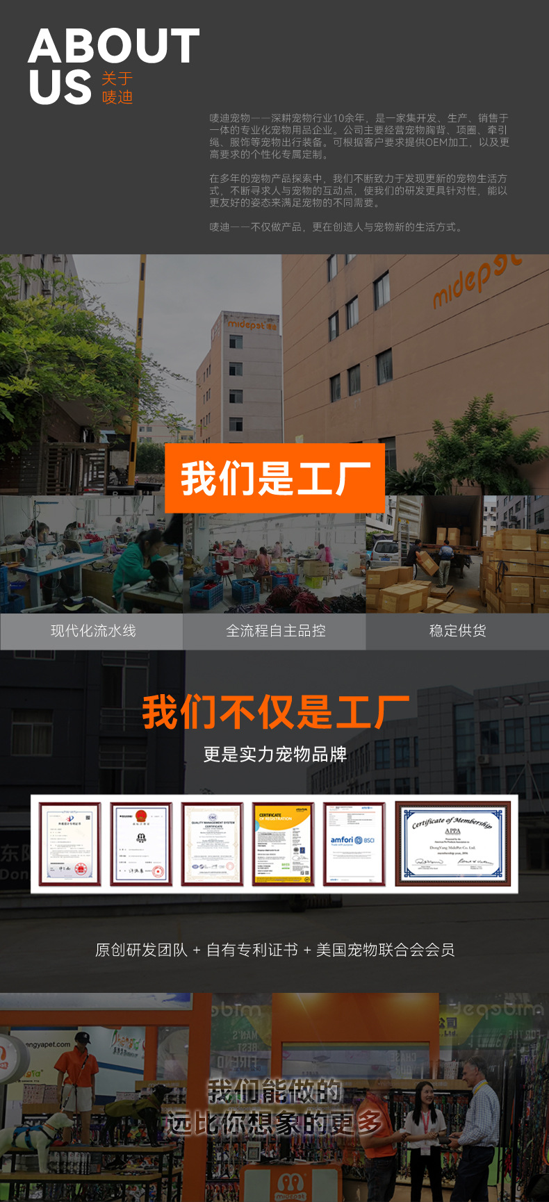 跨境新印花防爆冲支持客户印花logo宠物牵引胸背带反光牵引绳套装详情26