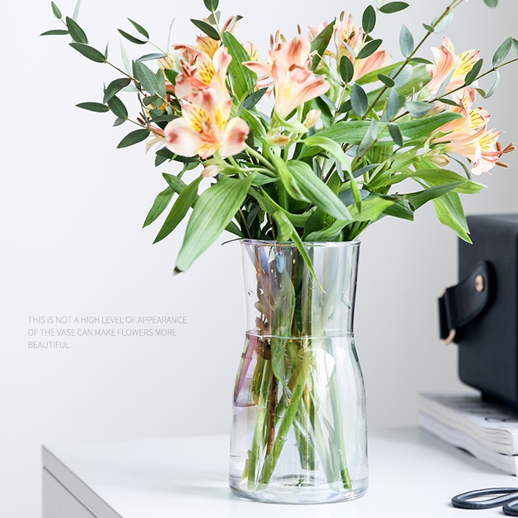 简约ins电镀幻彩玻璃花瓶透明水培插花瓶餐桌摆件小花瓶批发详情图2
