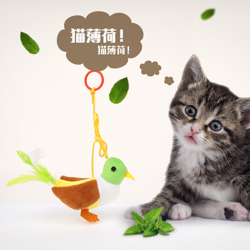 宠物用品宠物用品宠物猫咪玩具批发 吊环拉绳动物逗猫玩具 猫薄荷小鸟猫咪自嗨玩具详情图2