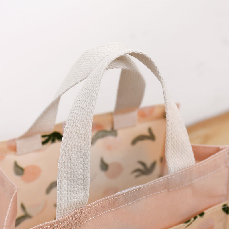 帆布包便携日用女ins文艺小清新手提布袋学生韩版日系简约包厂家详情图3