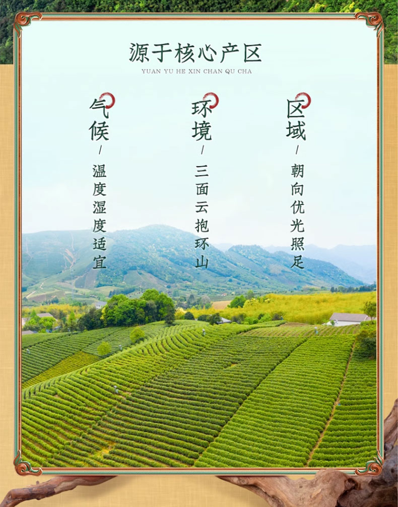 明前新茶方山云雾茶茶叶绿茶250克详情3