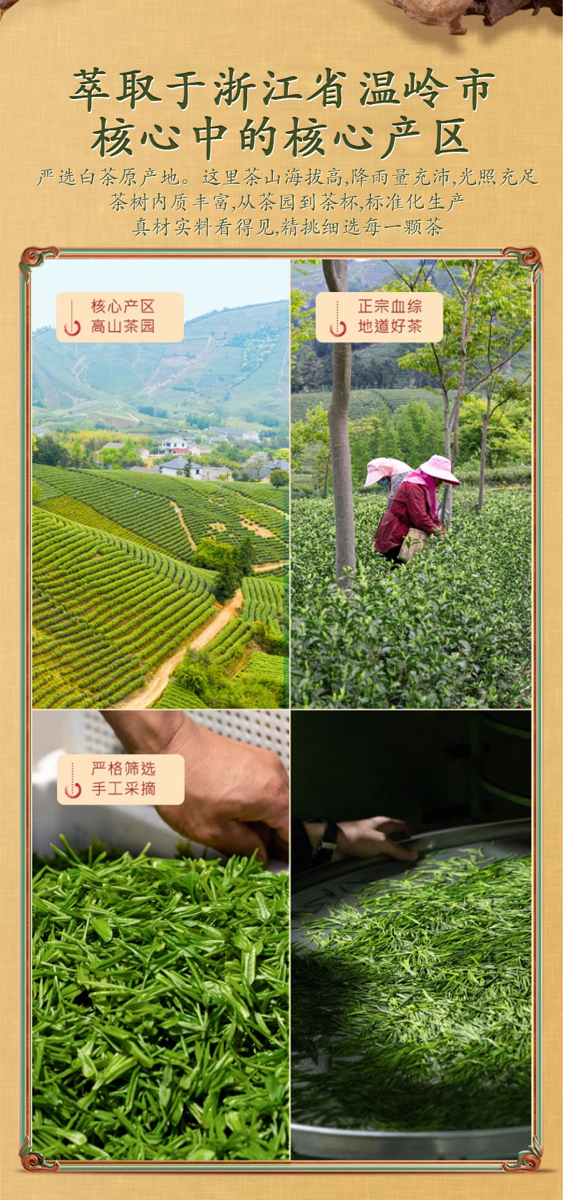 明前新茶方山云雾茶茶叶绿茶250克详情4