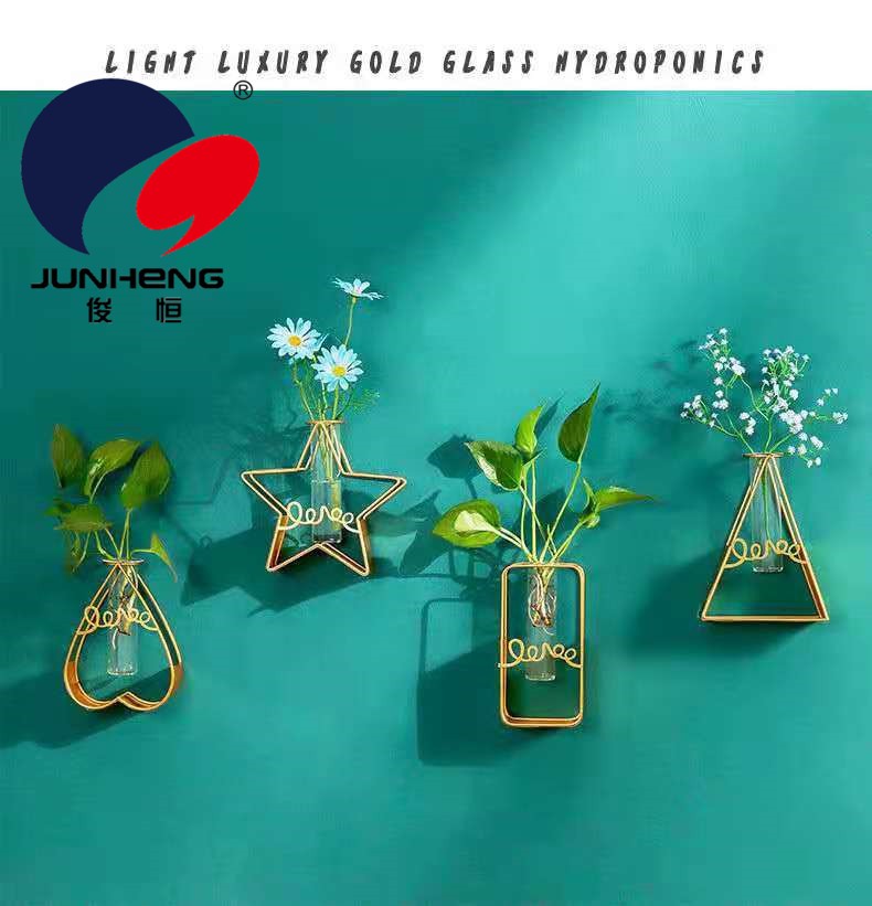 北欧ins长方形铁艺墙上水培花瓶玻璃水养绿萝植物插花装饰品挂墙详情7