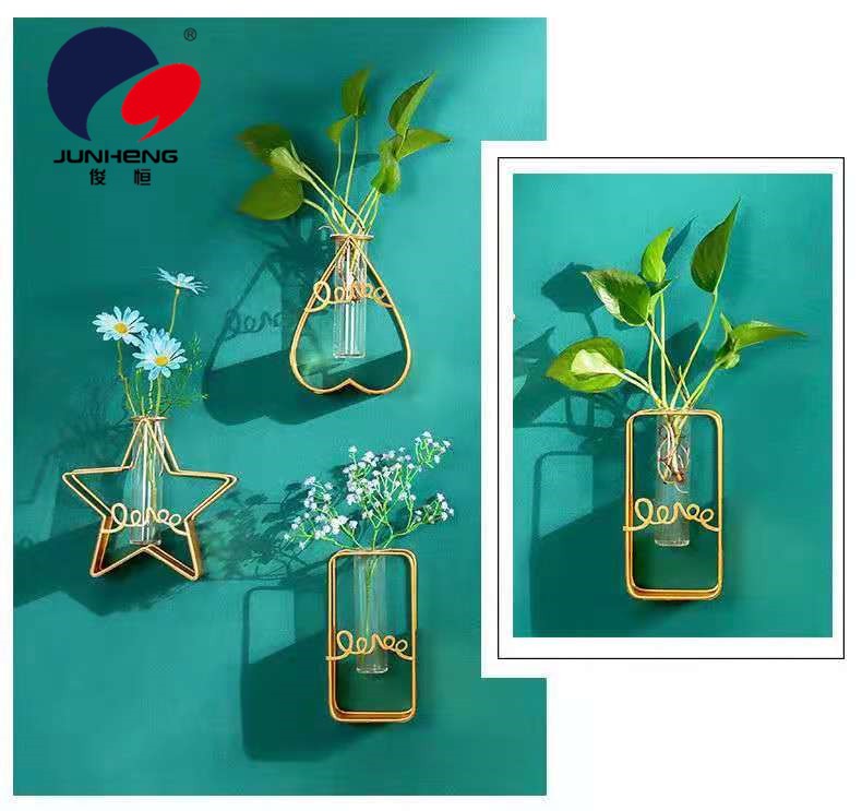北欧ins长方形铁艺墙上水培花瓶玻璃水养绿萝植物插花装饰品挂墙详情5