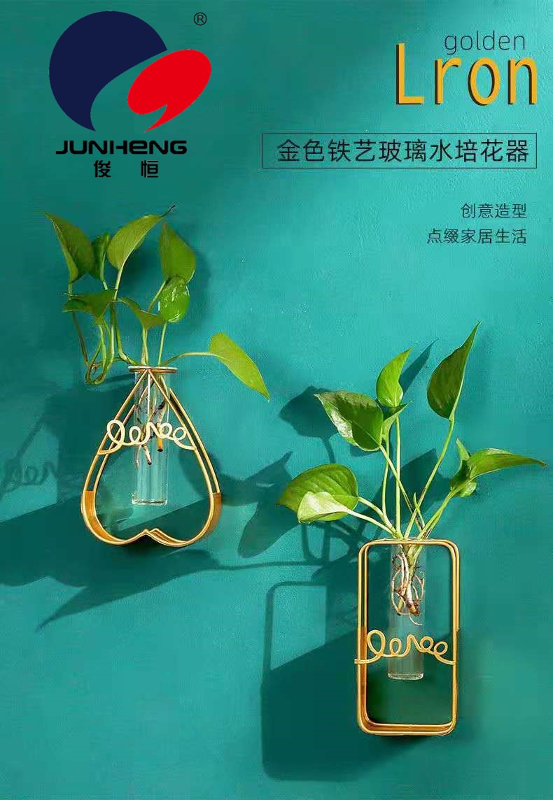 北欧ins长方形铁艺墙上水培花瓶玻璃水养绿萝植物插花装饰品挂墙详情6