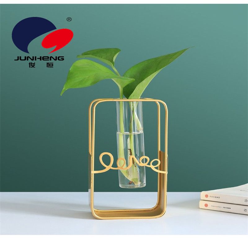 北欧ins长方形铁艺墙上水培花瓶玻璃水养绿萝植物插花装饰品挂墙详情图1