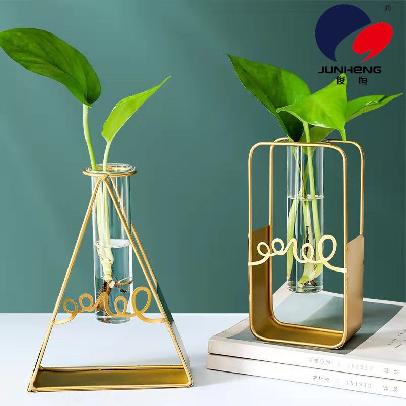 北欧ins长方形铁艺墙上水培花瓶玻璃水养绿萝植物插花装饰品挂墙详情图5