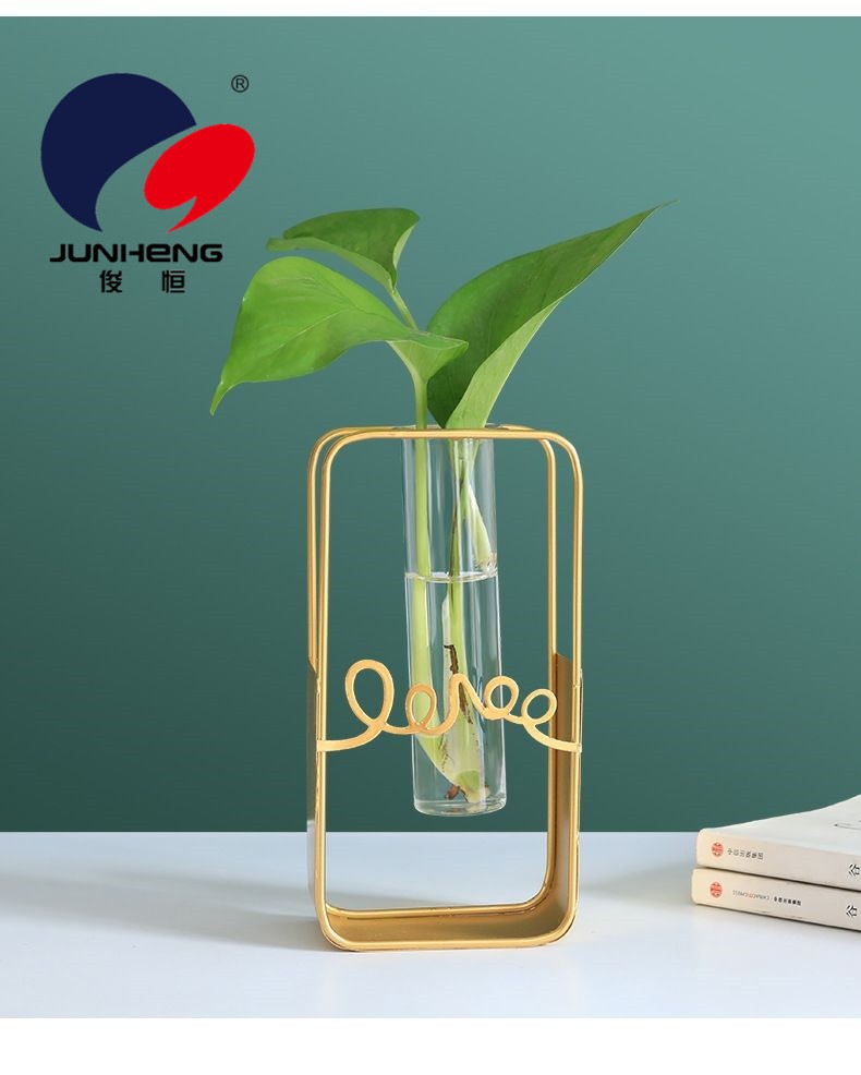 北欧ins长方形铁艺墙上水培花瓶玻璃水养绿萝植物插花装饰品挂墙详情1