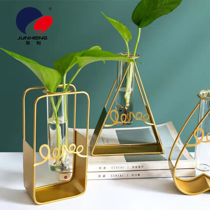 北欧ins长方形铁艺墙上水培花瓶玻璃水养绿萝植物插花装饰品挂墙详情3