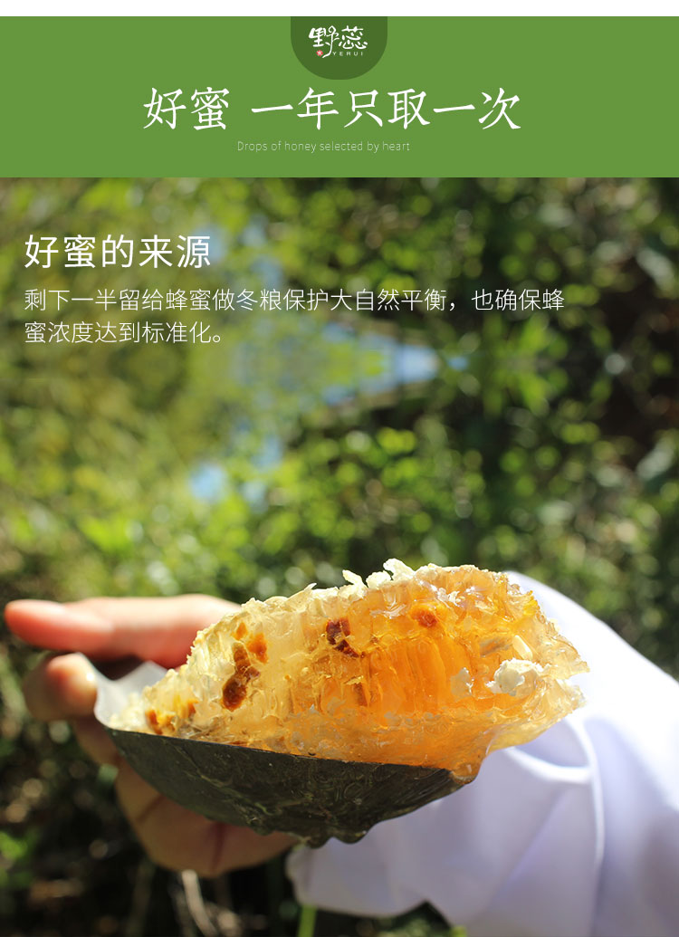 野蕊【巴山春蜜】500g/瓶  大巴山春季蜂蜜农家自产油菜花野樱桃花成熟蜂蜜包邮 500g/瓶详情4