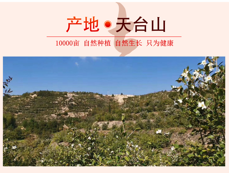 浙江天台山茶油葛玄新品上市正宗山茶油健康烹饪首选750ml*2瓶礼盒装教师团购福利详情4