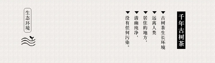 老挝金占芭 野生古树红茶罐包装 黑罐红茶 特级500年古树详情6