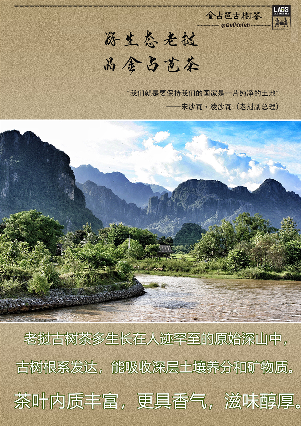 老挝金占芭 野生古树红茶罐包装 黑罐红茶 特级500年古树详情4