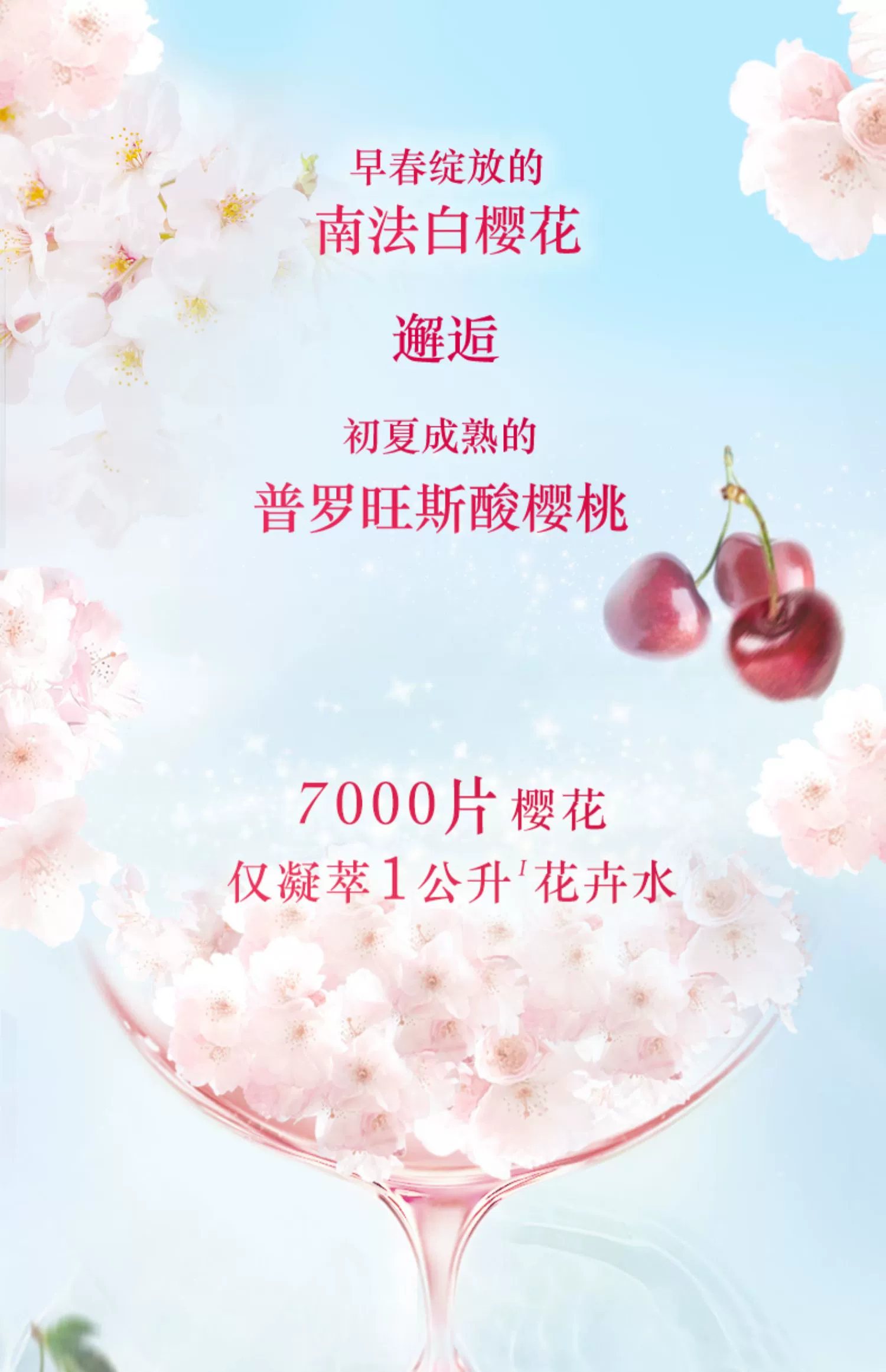 法国欧舒丹白樱花沐浴露身体乳套装全身清洁补水保湿滋润男女香体留香详情6